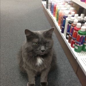 Meet your Posher, Diane